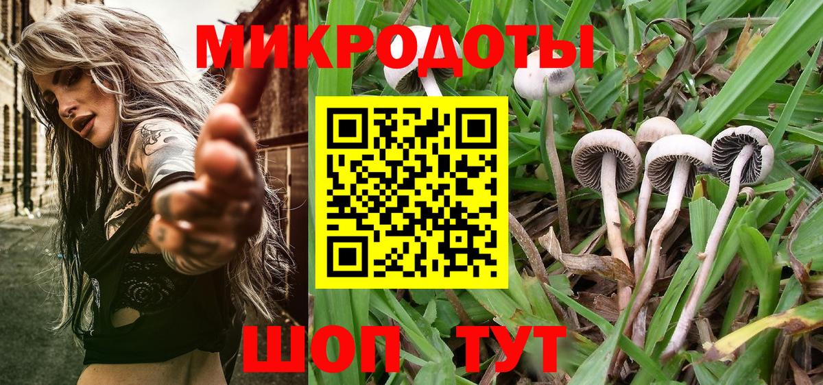 Галлюциногенные грибы MAGIC MUSHROOMS Аргун