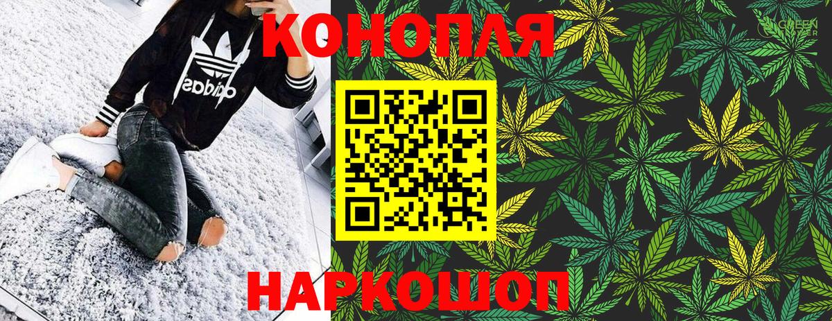 Бошки марихуана сатива  Конопля гибрид  Аргун  Каннабис Bruce Banner  МАРИХУАНА сатива  Вход с VPN 